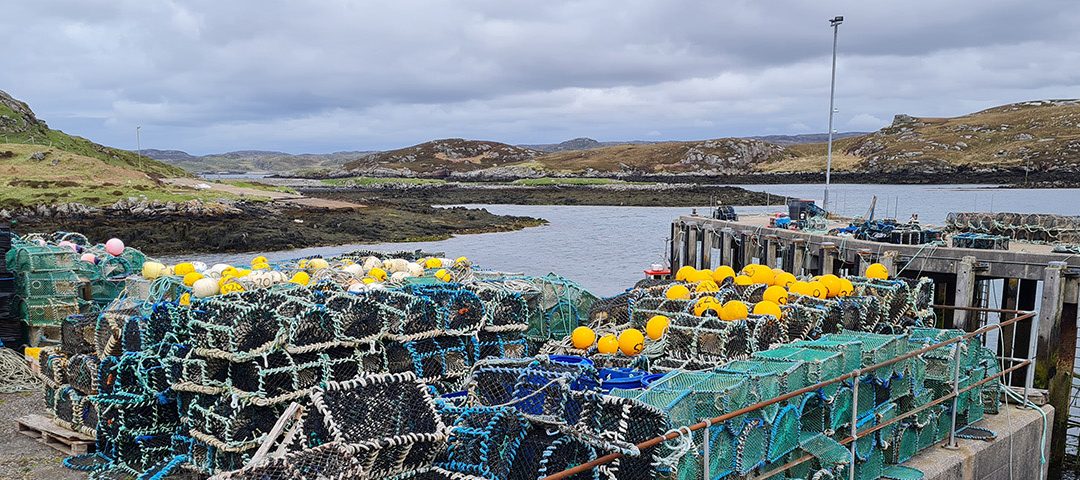 The RIFG Creel Limits Scoping Survey CLOSED