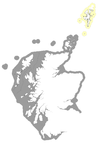 SSMORIFG_Region_Logo